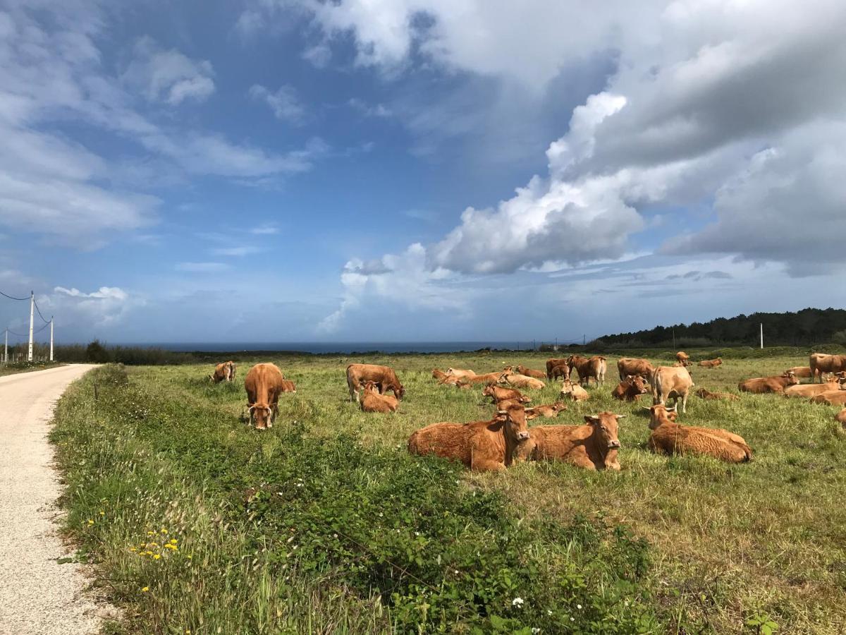 Vila Casinha Da Cabra, Casas Do Poente, Rogil, Aljezur Exteriér fotografie